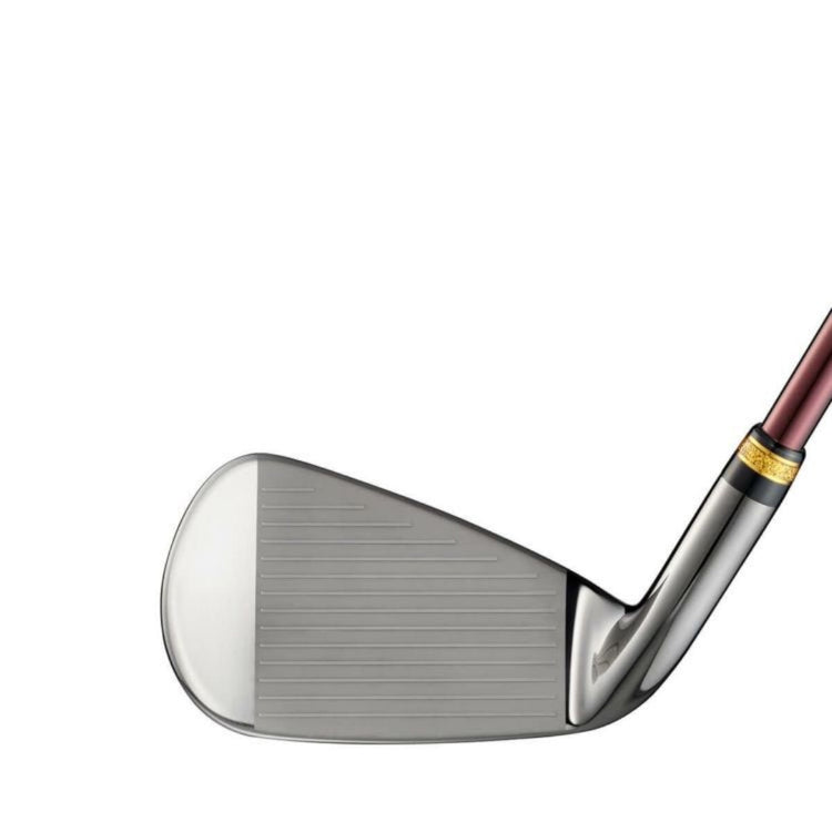 MAJESTY Prestigio 13 Men's Iron Single MAJESTY LV760 Carbon Shaft